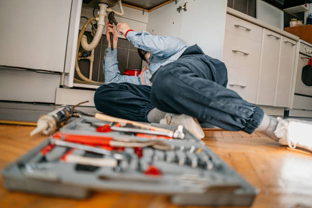 Best Plumbing Inspection Services  in Cedar Falls, IA