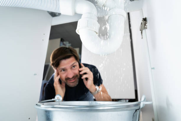 Best Commercial Plumbing Services  in Cedar Falls, IA